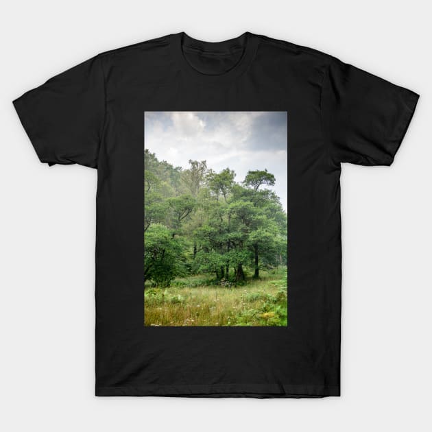 Harry Guards Woods T-Shirt by jldunbar